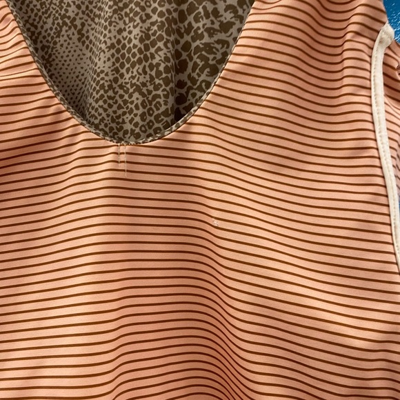 Small acacia - Picture 3 of 3